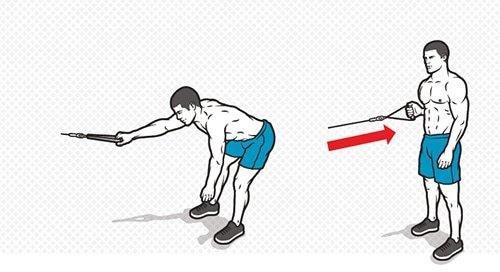 V Shape Cable Exercise You Don’t Need An Olympic Swimming Pool To Build A V-Shaped Body, Just ...